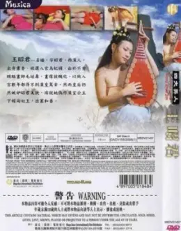 《四大美人之王昭君》：绝代佳人的家国情怀与无奈命运，一曲凄美的历史悲歌