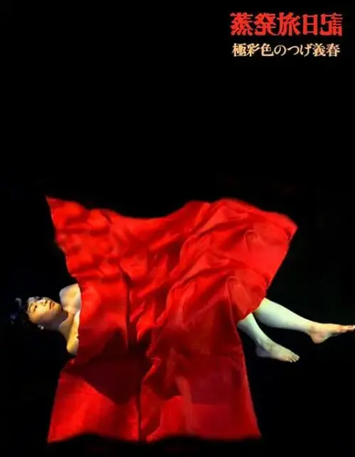 探索神秘蒸发之旅：《蒸发旅日记》揭秘人生消逝的深刻隐喻与冒险精神