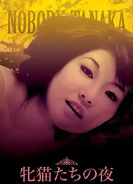 《性感野猫之夜》：欲望丛林中的惊魂一夜，揭秘人性最深处的原始冲动