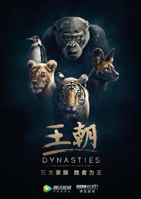 《王朝 第一季》：不是所有王者都戴冠，这部剧告诉你血统的真相！